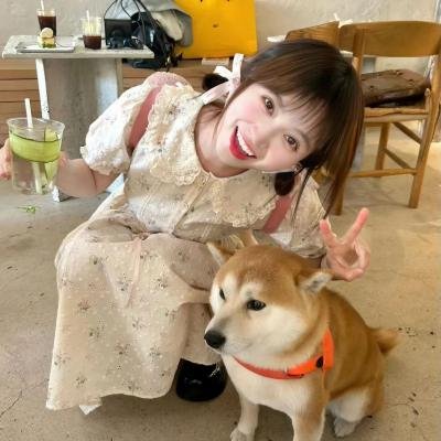 白月光下
